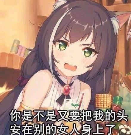 ӳʲô˼_ӳָʲô