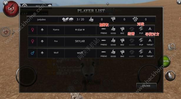 ַô_Wild Animals