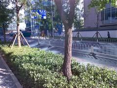 �����ʸ� ŵ����ֱ��TD�»�C5-01����