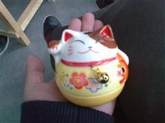 �����ʸ� ŵ����ֱ��TD�»�C5-01����