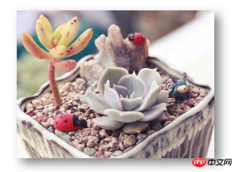 cssθͼƬӰЧͼƬӰ2ַ밸