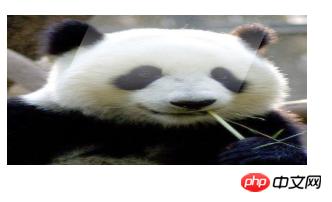 css3ͼƬӰЧcss3ͼƬӰɵķ