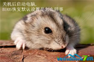 Windows7ϵͳ�Կ���BIOS�ָ�Ĭ������